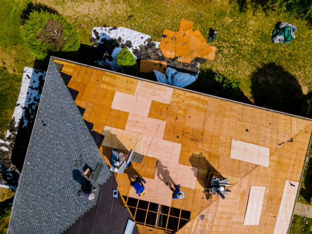 Best Roof Gutter Cleaning  in Manchester, TN